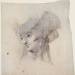 Portrait Study of a Woman, probably Mrs Fuseli